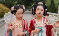 有车车的腐肉动画网入口